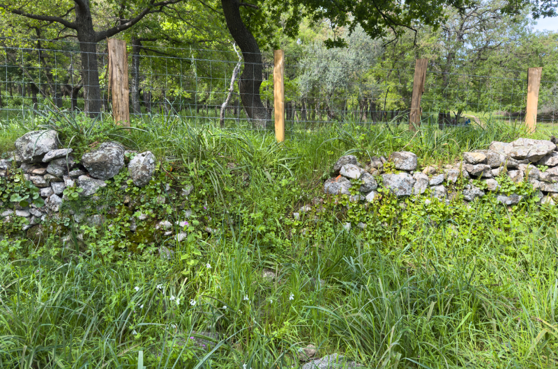 Restauration de murs anciens en pierre – Uzès et alentours