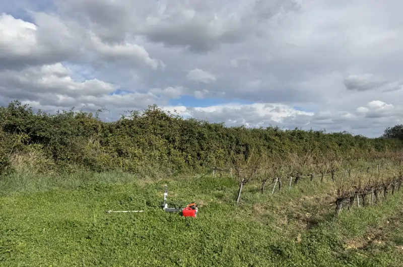 entretient mur en pierre par professionnel