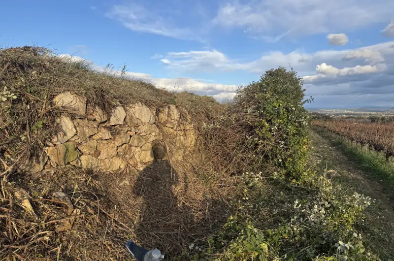 entretient mur en pierre par professionnel