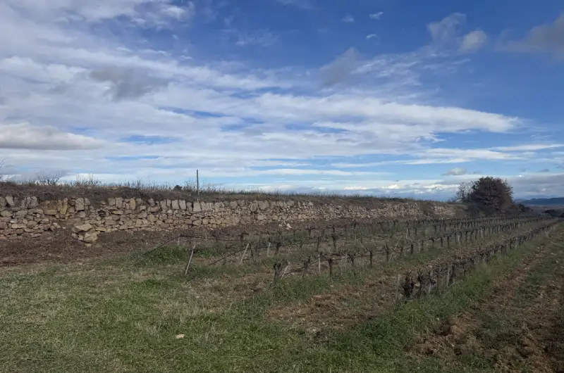 entretient mur en pierre par professionnel