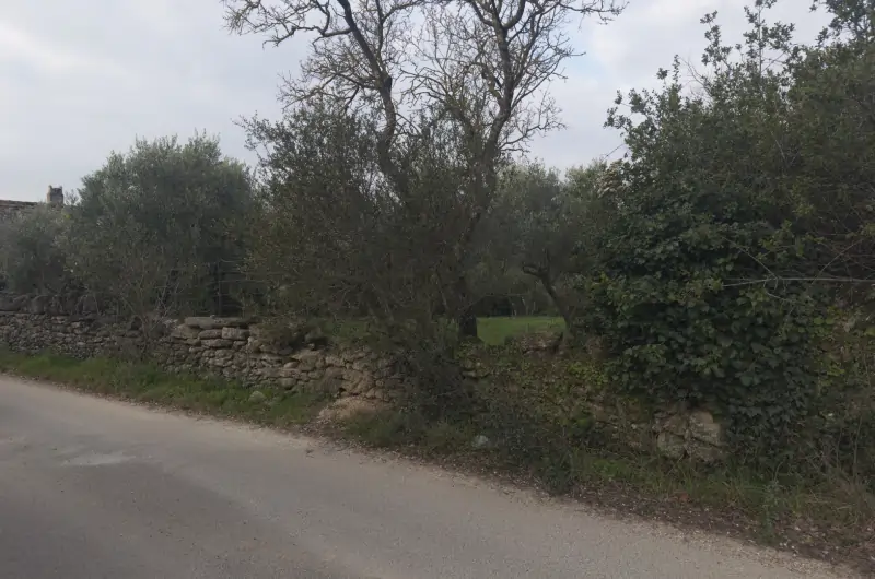 entretient mur en pierre par professionnel Uzès